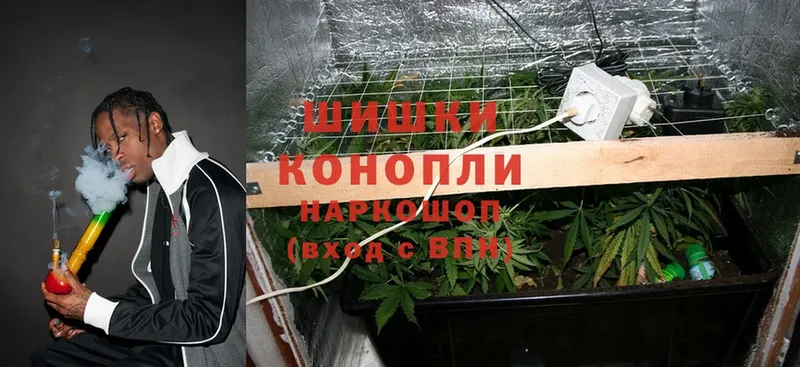 kraken tor  Балтийск  Канабис SATIVA & INDICA 